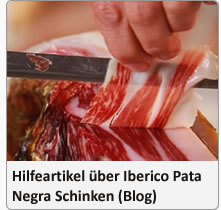 Hilfeartikel über jamon iberico pata negra schinken (blog)